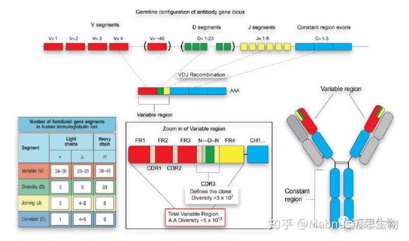 检验检疫技术中心改革:未来路在何方?